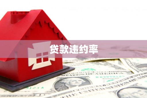 暖暖贷款违约率