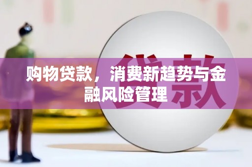 暖暖购物贷款，消费新趋势与金融风险管理