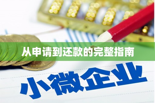 暖暖从申请到还款的完整指南