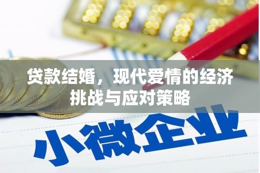 暖暖贷款结婚，现代爱情的经济挑战与应对策略