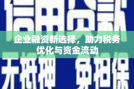暖暖企业融资新选择，助力税务优化与资金流动
