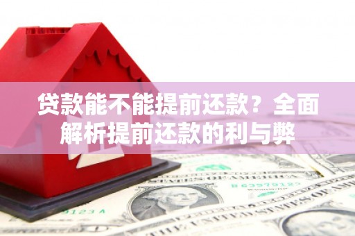 暖暖贷款能不能提前还款？全面解析提前还款的利与弊