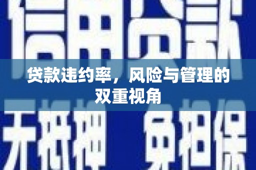 暖暖贷款违约率，风险与管理的双重视角