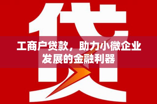 暖暖工商户贷款,助力小微企业发展的金融利器 暖暖工商户贷款,助力小微企业发展的金融利器