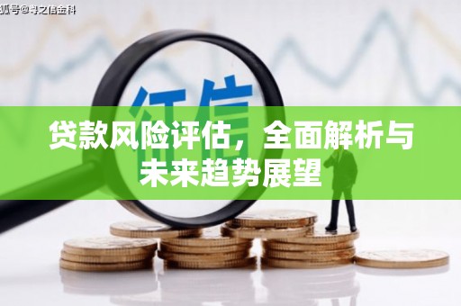 暖暖贷款风险评估，全面解析与未来趋势展望