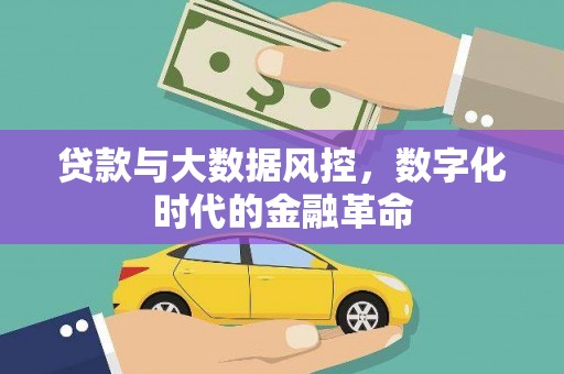 暖暖贷款与大数据风控，数字化时代的金融革命