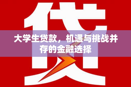 暖暖大学生贷款，机遇与挑战并存的金融选择