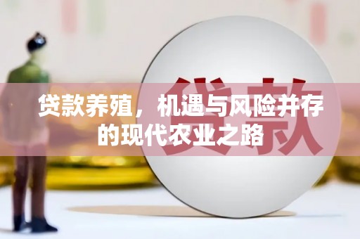 暖暖贷款养殖，机遇与风险并存的现代农业之路