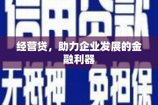 暖暖经营贷，助力企业发展的金融利器