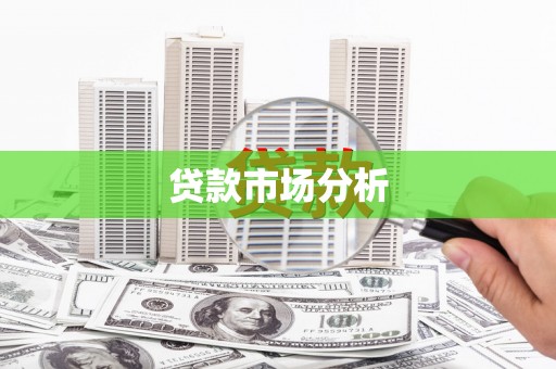 暖暖贷款市场分析
