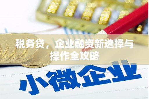 暖暖税务贷，企业融资新选择与操作全攻略
