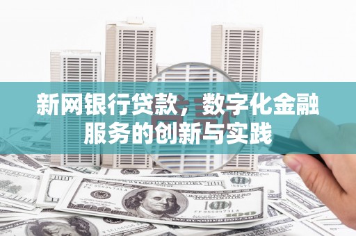暖暖新网银行贷款，数字化金融服务的创新与实践