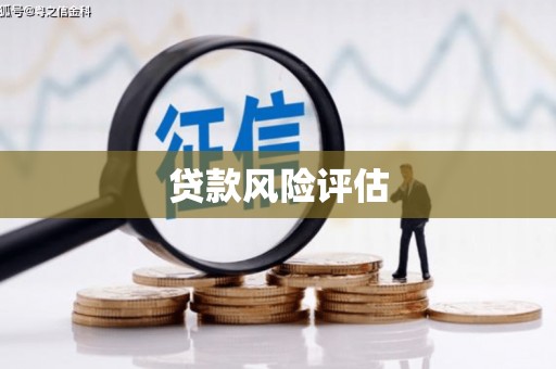 暖暖贷款风险评估
