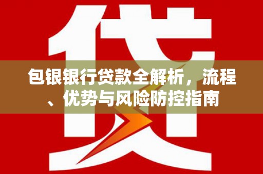 暖暖包银银行贷款全解析，流程、优势与风险防控指南