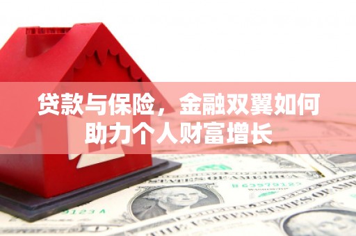 暖暖贷款与保险，金融双翼如何助力个人财富增长