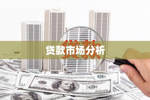 暖暖贷款市场分析