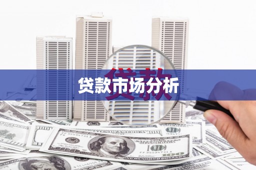 暖暖贷款市场分析