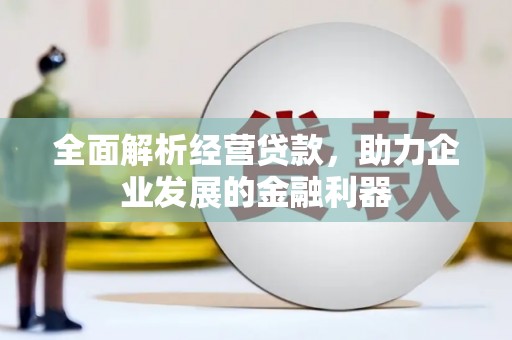 暖暖全面解析经营贷款，助力企业发展的金融利器