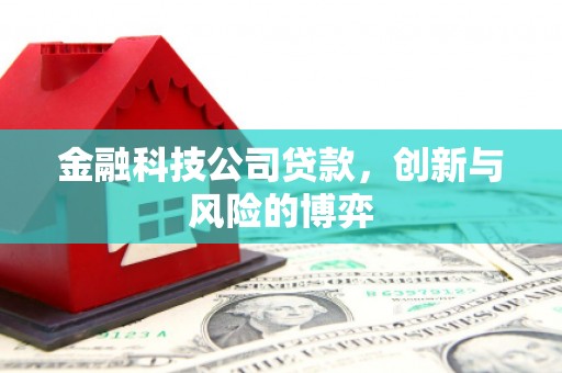 暖暖金融科技公司贷款，创新与风险的博弈
