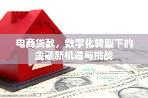 暖暖电商贷款，数字化转型下的金融新机遇与挑战