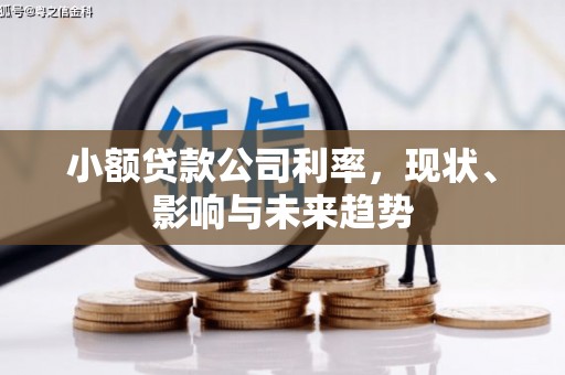 暖暖小额贷款公司利率，现状、影响与未来趋势