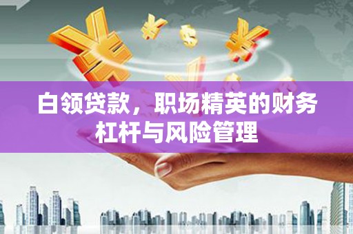 暖暖白领贷款，职场精英的财务杠杆与风险管理