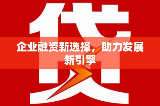暖暖企业融资新选择，助力发展新引擎