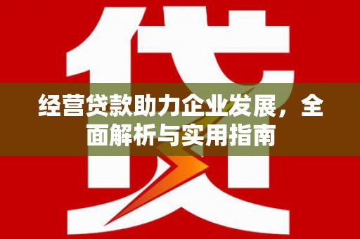 暖暖经营贷款助力企业发展，全面解析与实用指南