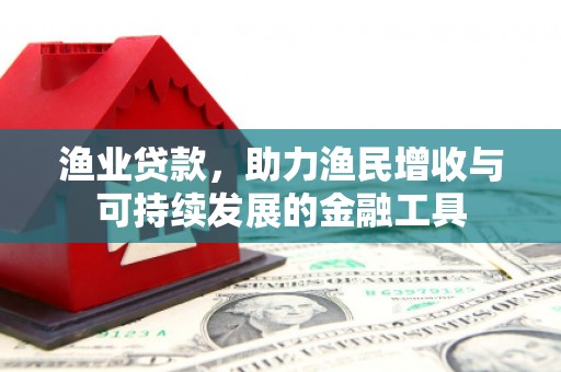 暖暖渔业贷款，助力渔民增收与可持续发展的金融工具
