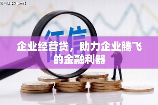 暖暖企业经营贷，助力企业腾飞的金融利器