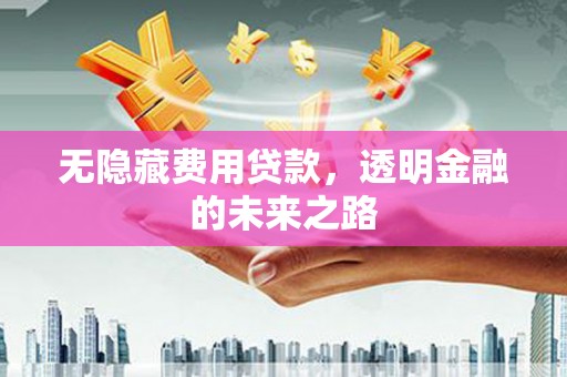 暖暖无隐藏费用贷款，透明金融的未来之路