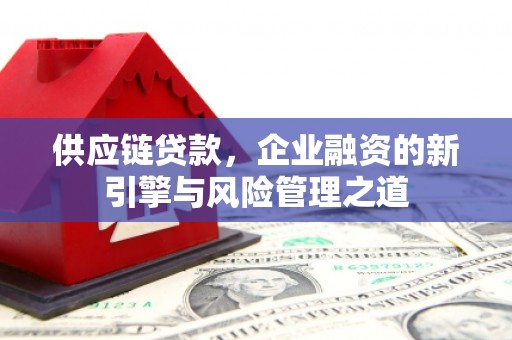 暖暖供应链贷款，企业融资的新引擎与风险管理之道