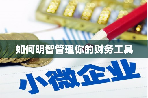 暖暖如何明智管理你的财务工具