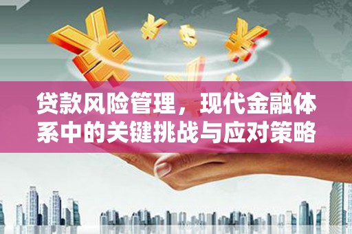 暖暖贷款风险管理，现代金融体系中的关键挑战与应对策略