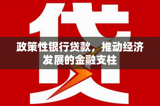 暖暖政策性银行贷款，推动经济发展的金融支柱