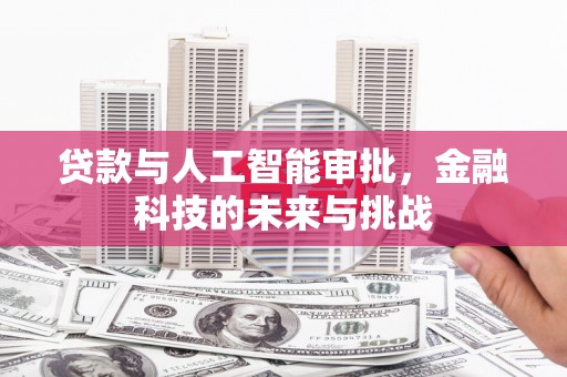 暖暖贷款与人工智能审批，金融科技的未来与挑战