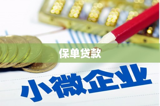 暖暖保单贷款