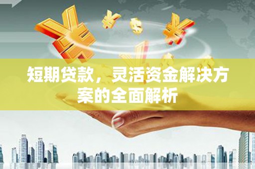 暖暖短期贷款，灵活资金解决方案的全面解析