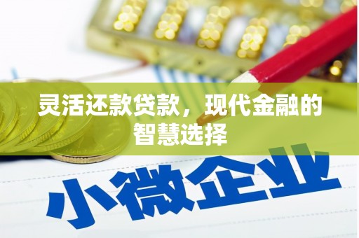 暖暖灵活还款贷款，现代金融的智慧选择