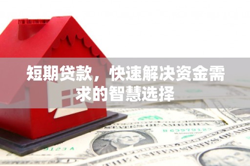 暖暖短期贷款，快速解决资金需求的智慧选择