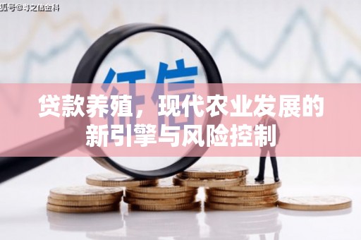 暖暖贷款养殖，现代农业发展的新引擎与风险控制