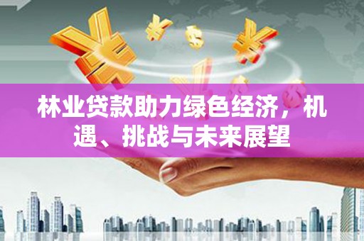 暖暖林业贷款助力绿色经济，机遇、挑战与未来展望