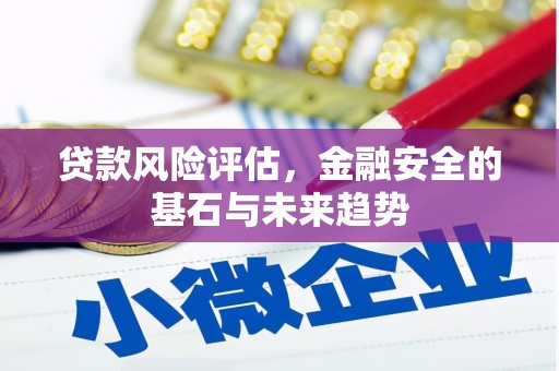 暖暖贷款风险评估，金融安全的基石与未来趋势