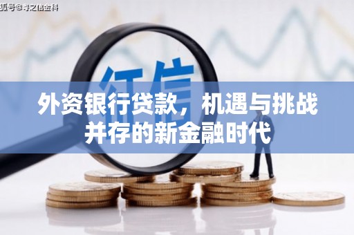 暖暖外资银行贷款，机遇与挑战并存的新金融时代