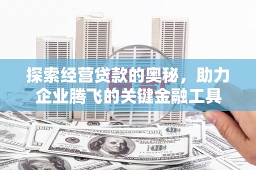 暖暖探索经营贷款的奥秘，助力企业腾飞的关键金融工具