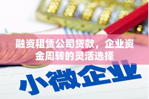 暖暖融资租赁公司贷款，企业资金周转的灵活选择