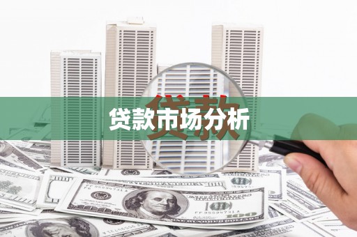 暖暖贷款市场分析