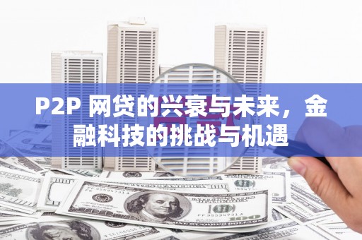 暖暖P2P 网贷的兴衰与未来，金融科技的挑战与机遇