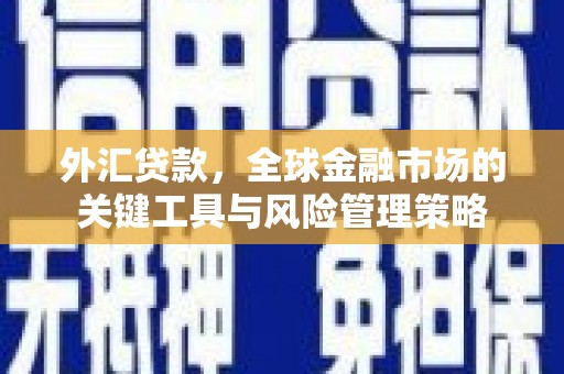暖暖外汇贷款，全球金融市场的关键工具与风险管理策略