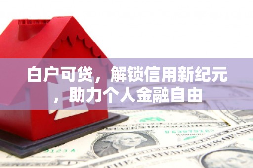 暖暖白户可贷，解锁信用新纪元，助力个人金融自由